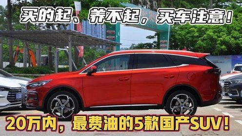 解说5款国产车视频播放,5款热门车型视频解说精华回顾