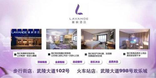 国产酒店福利视频在线,在线视频带你领略奢华体验