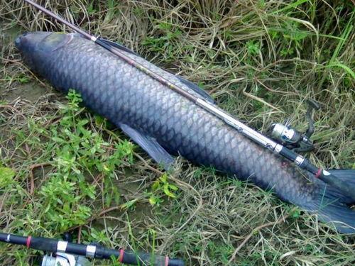 青鱼视频国产企业在3,青鱼视频见证中国3代企业成长之路