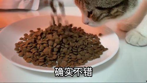 国产猫粮厂视频,探秘本土品牌生产过程