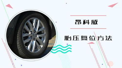国产野马胎压复位视频讲解,视频详解，轻松掌握