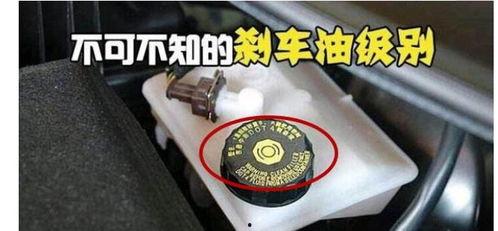 国产刹车油实测视频大全