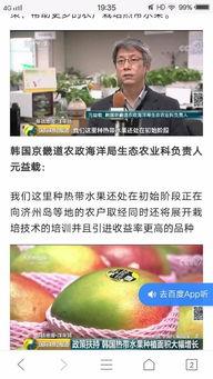 韩国产热带水果视频,鲜甜滋味尽收眼底