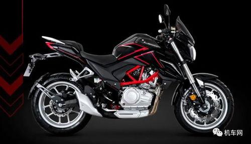 国产双缸350视频,动力强劲，驾驭非凡