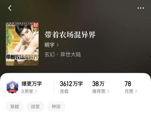 久爱国产精品视频小说,久爱之旅，探寻民族文化的瑰宝