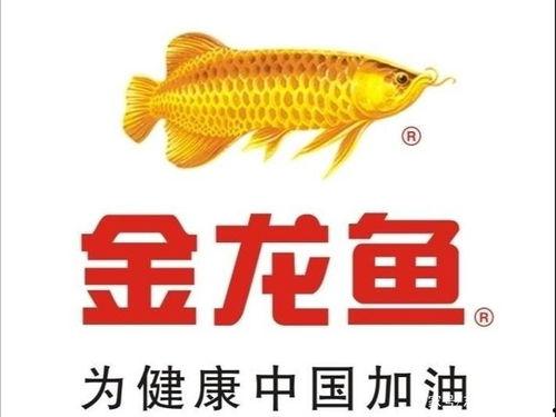 金龙鱼国产视频,见证中国食用油产业的崛起之路